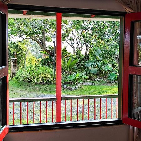 Casa Laureles Appartement Filandia Buitenkant foto