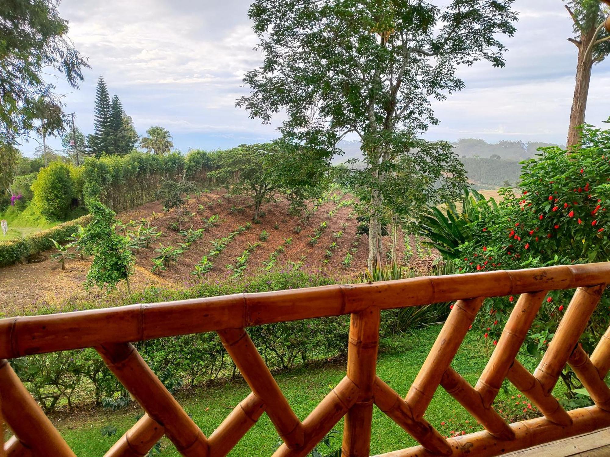 Casa Laureles Appartement Filandia Buitenkant foto